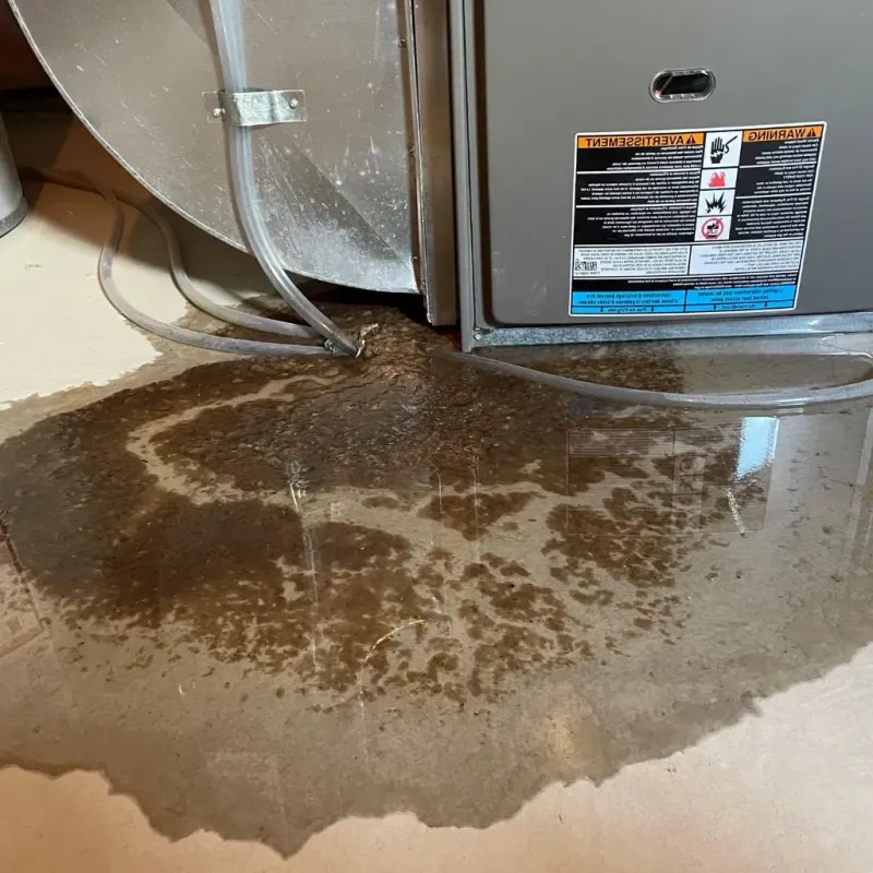 Pipe Burst and Leak Restoration in Steeleville, IL