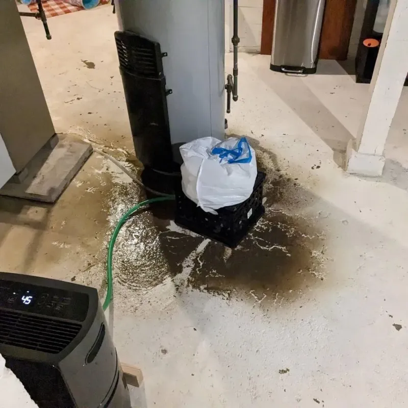 Sewage Backup Cleanup Service in Steeleville, IL